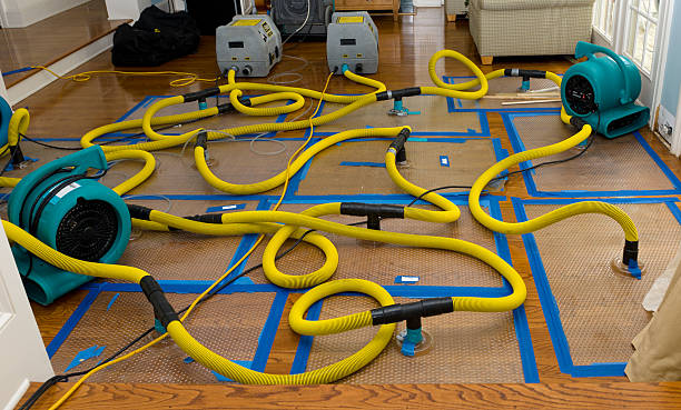 Professional Water Damage Restoration technician working in Livermore, IA